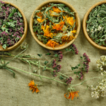 Curso Plantas Antibióticas com Marilua Feitoza - sob consulta